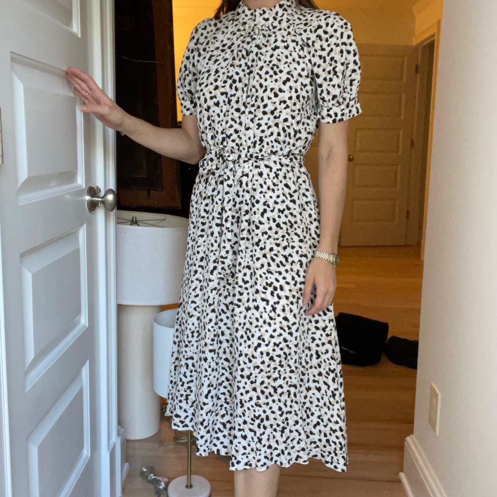Ann Taylor Dress